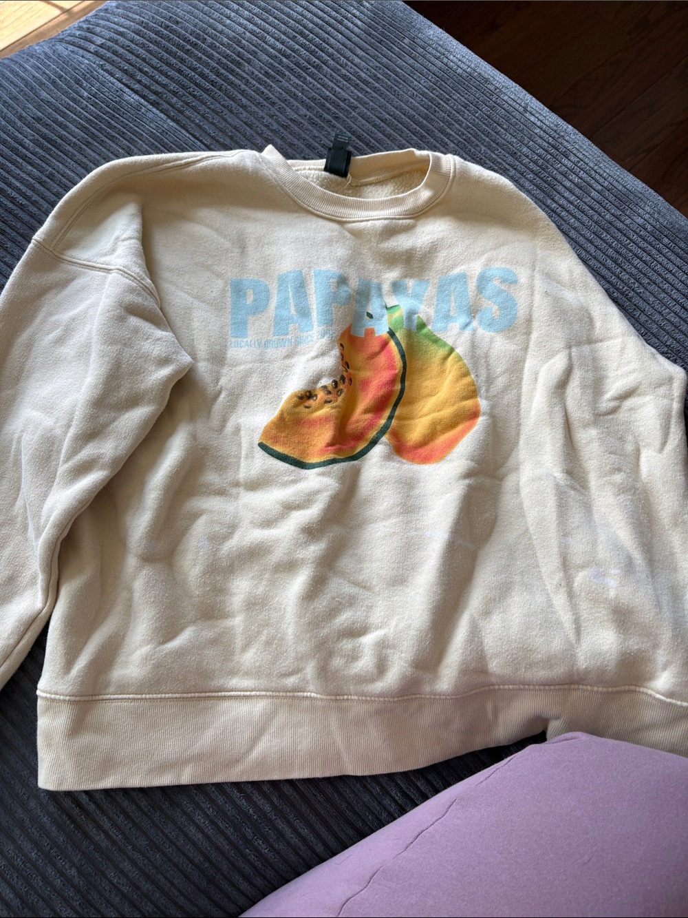 wild fable Cream Graphic Sweatshirt with Pastel Fruit Print